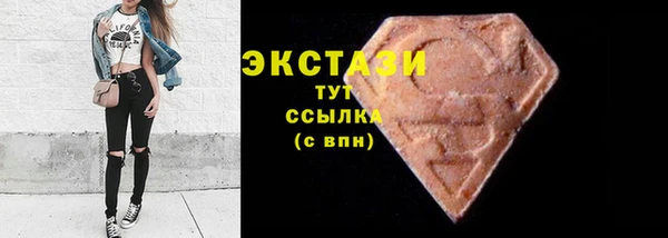 мдпв Богородицк