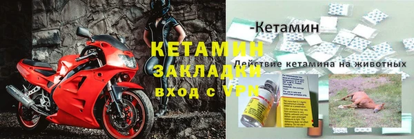 крисы Богданович