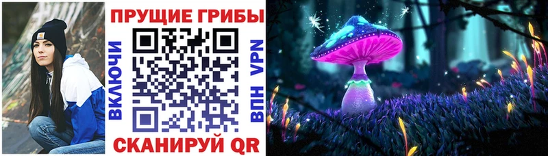 Галлюциногенные грибы прущие грибы  Буйнакск 